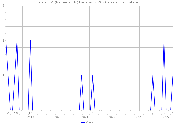 Virgata B.V. (Netherlands) Page visits 2024 