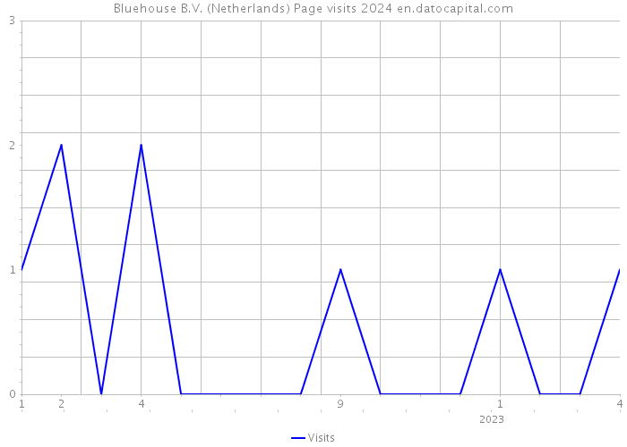 Bluehouse B.V. (Netherlands) Page visits 2024 