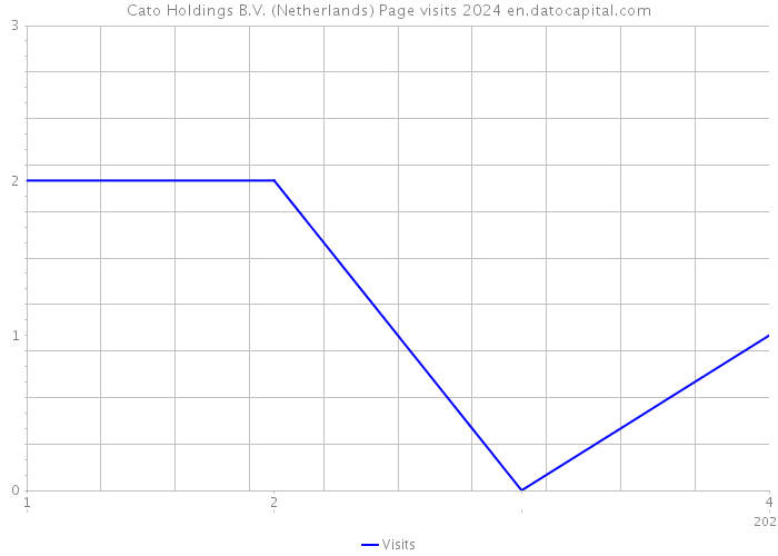 Cato Holdings B.V. (Netherlands) Page visits 2024 