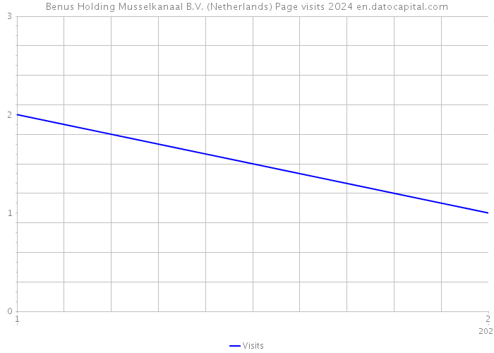 Benus Holding Musselkanaal B.V. (Netherlands) Page visits 2024 