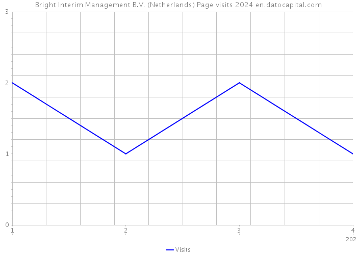 Bright Interim Management B.V. (Netherlands) Page visits 2024 