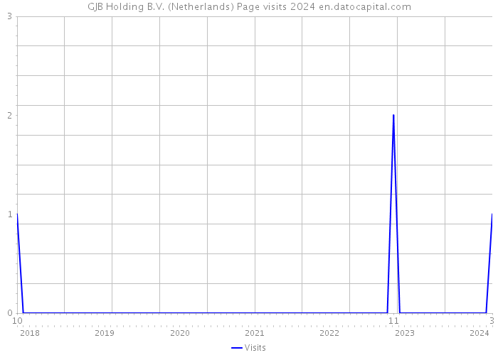 GJB Holding B.V. (Netherlands) Page visits 2024 