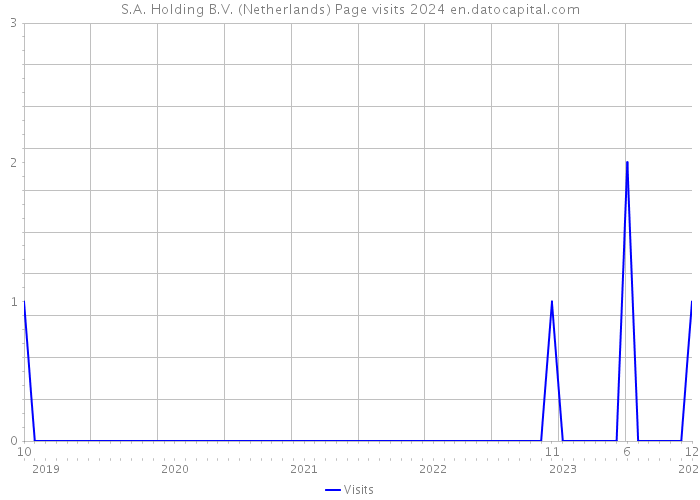 S.A. Holding B.V. (Netherlands) Page visits 2024 