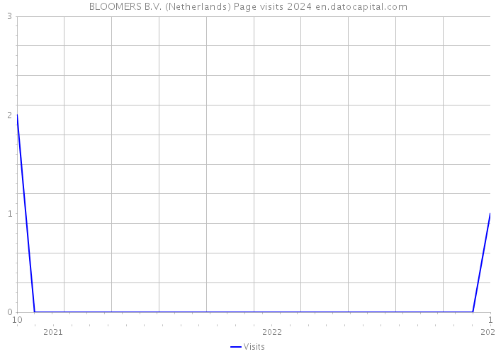 BLOOMERS B.V. (Netherlands) Page visits 2024 
