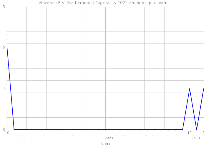 Vincenzo B.V. (Netherlands) Page visits 2024 