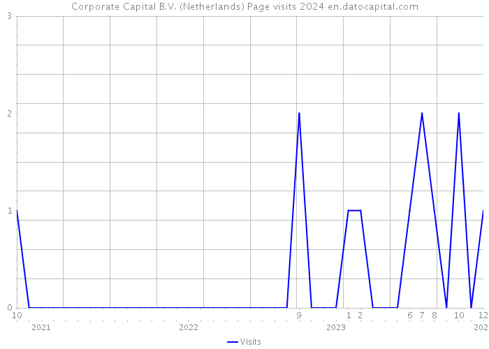Corporate Capital B.V. (Netherlands) Page visits 2024 