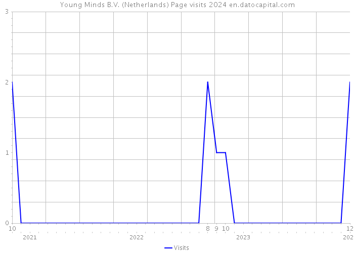 Young Minds B.V. (Netherlands) Page visits 2024 