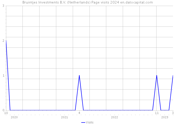 Bruintjes Investments B.V. (Netherlands) Page visits 2024 