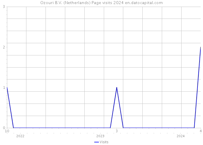 Ozouri B.V. (Netherlands) Page visits 2024 