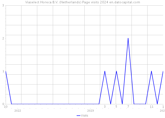 Viaselect Horeca B.V. (Netherlands) Page visits 2024 