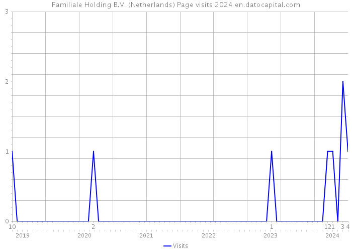 Familiale Holding B.V. (Netherlands) Page visits 2024 