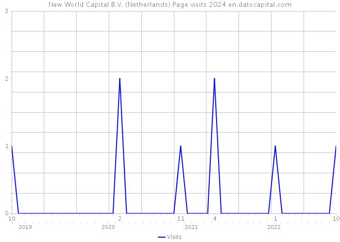 New World Capital B.V. (Netherlands) Page visits 2024 
