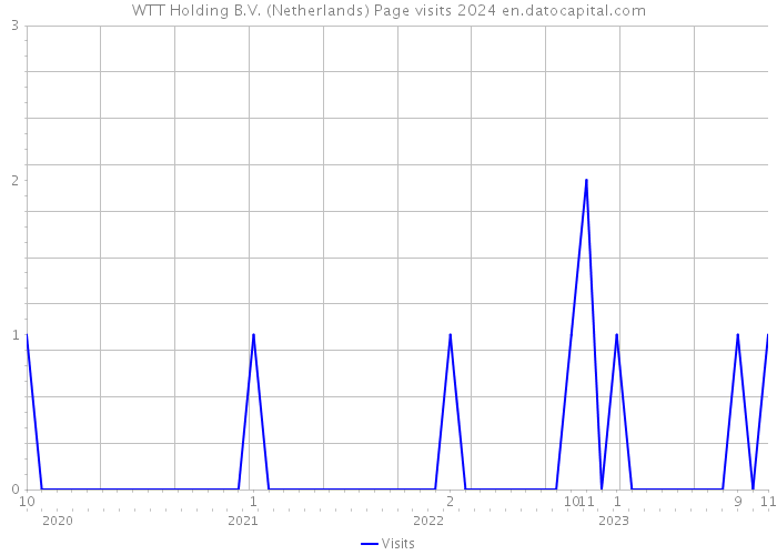 WTT Holding B.V. (Netherlands) Page visits 2024 