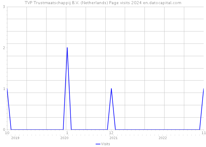 TVP Trustmaatschappij B.V. (Netherlands) Page visits 2024 