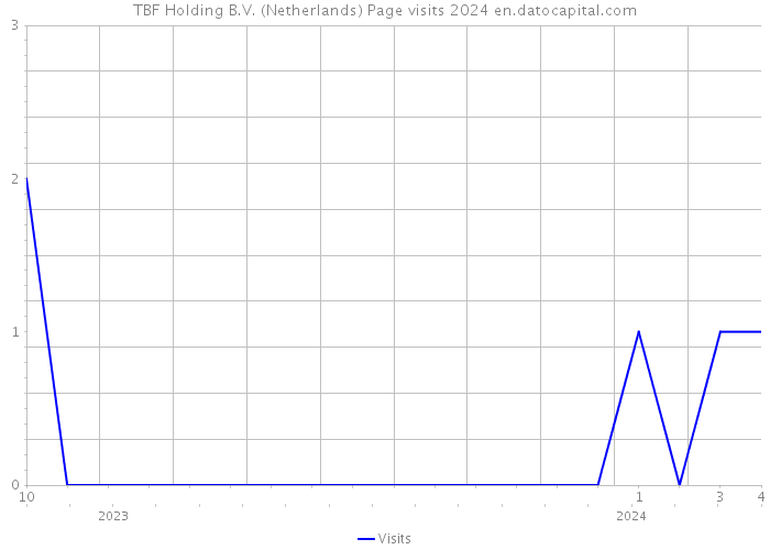 TBF Holding B.V. (Netherlands) Page visits 2024 