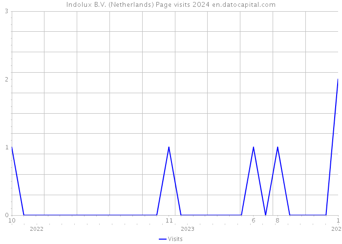 Indolux B.V. (Netherlands) Page visits 2024 