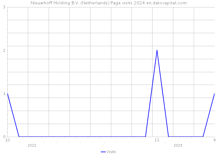 Nieuwhoff Holding B.V. (Netherlands) Page visits 2024 