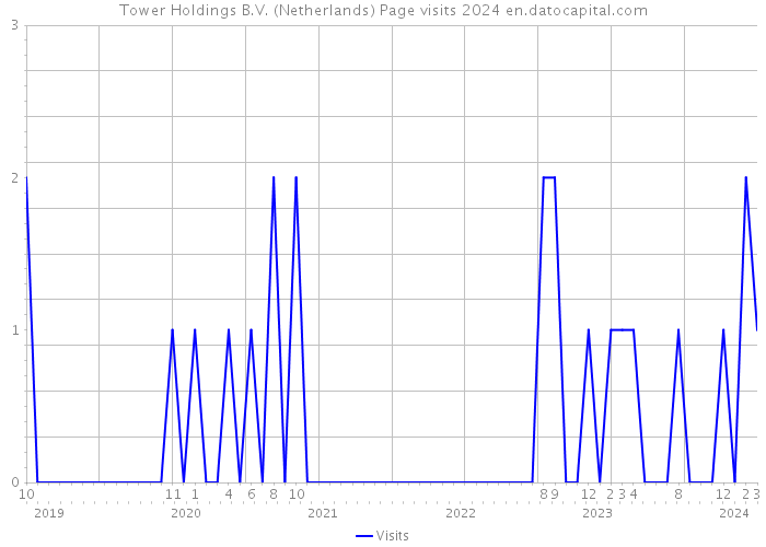 Tower Holdings B.V. (Netherlands) Page visits 2024 