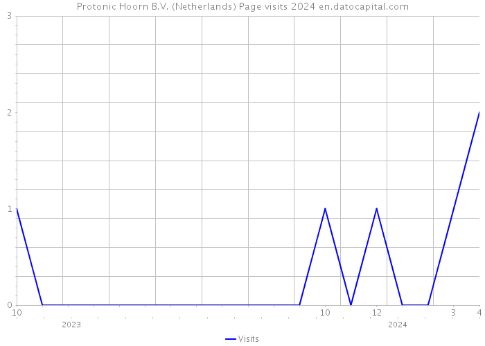 Protonic Hoorn B.V. (Netherlands) Page visits 2024 