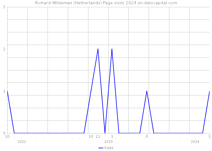 Richard Wildeman (Netherlands) Page visits 2024 