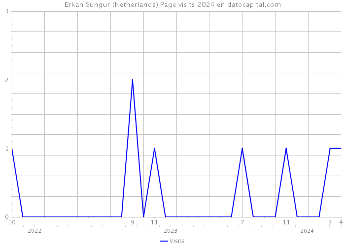 Erkan Sungur (Netherlands) Page visits 2024 