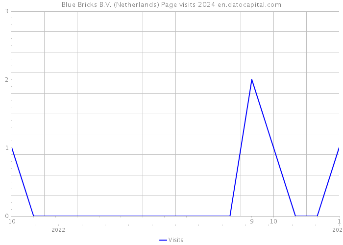 Blue Bricks B.V. (Netherlands) Page visits 2024 