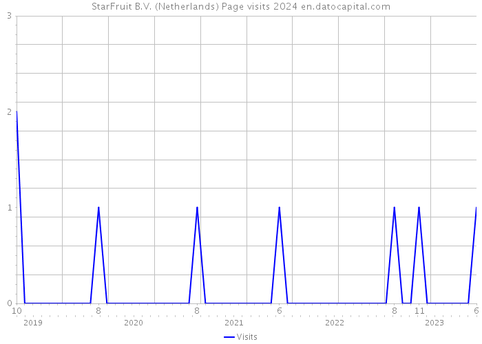StarFruit B.V. (Netherlands) Page visits 2024 