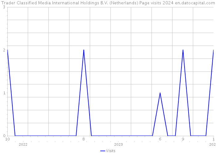 Trader Classified Media International Holdings B.V. (Netherlands) Page visits 2024 