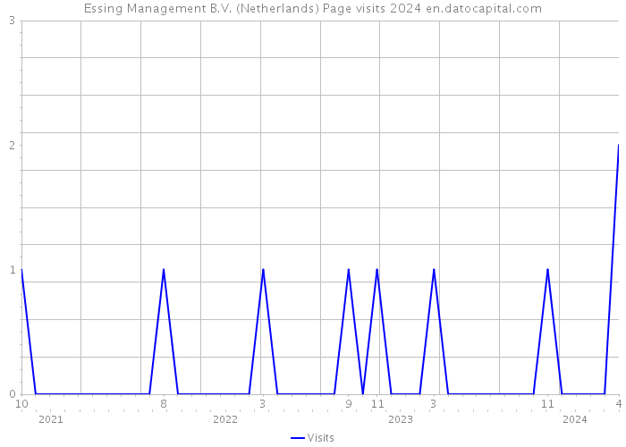 Essing Management B.V. (Netherlands) Page visits 2024 