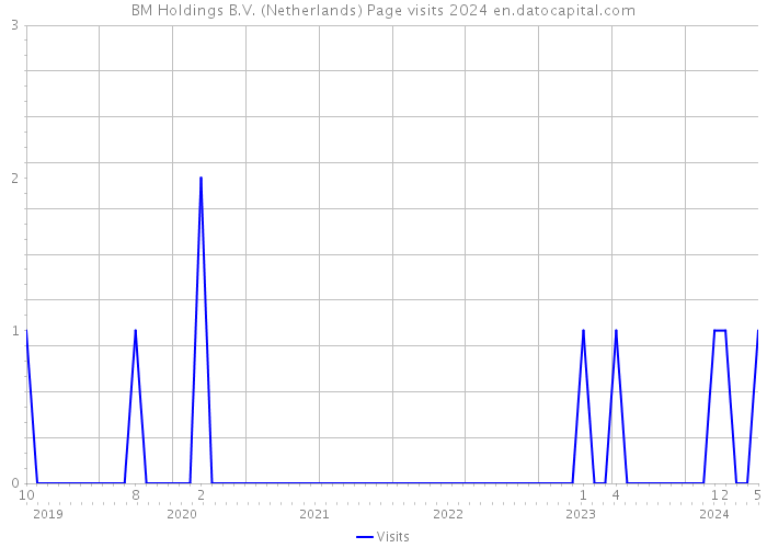 BM Holdings B.V. (Netherlands) Page visits 2024 