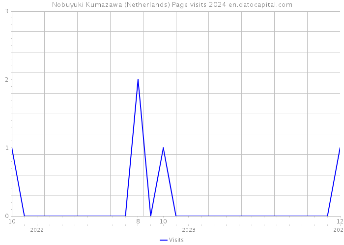 Nobuyuki Kumazawa (Netherlands) Page visits 2024 