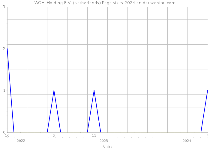 WOHI Holding B.V. (Netherlands) Page visits 2024 