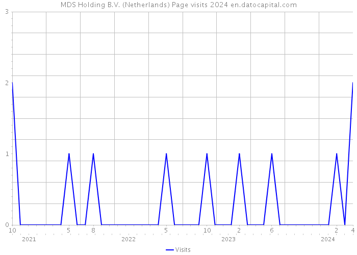MDS Holding B.V. (Netherlands) Page visits 2024 
