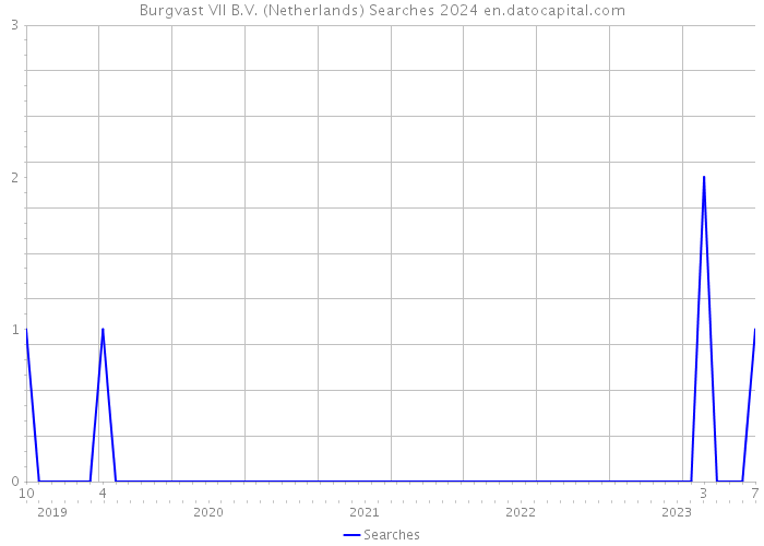 Burgvast VII B.V. (Netherlands) Searches 2024 