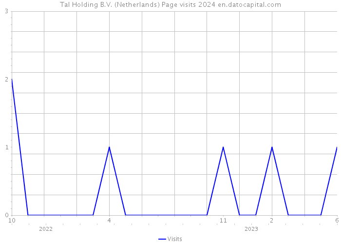 Tal Holding B.V. (Netherlands) Page visits 2024 
