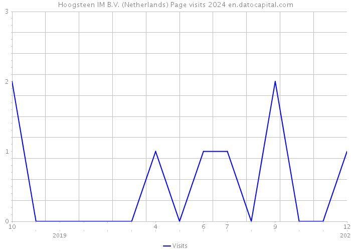 Hoogsteen IM B.V. (Netherlands) Page visits 2024 