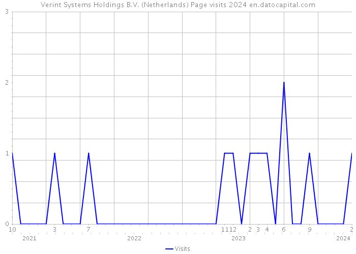Verint Systems Holdings B.V. (Netherlands) Page visits 2024 