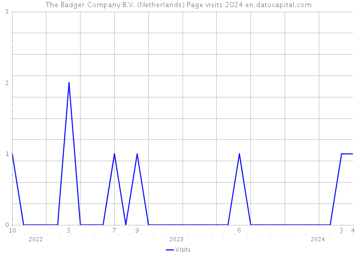 The Badger Company B.V. (Netherlands) Page visits 2024 