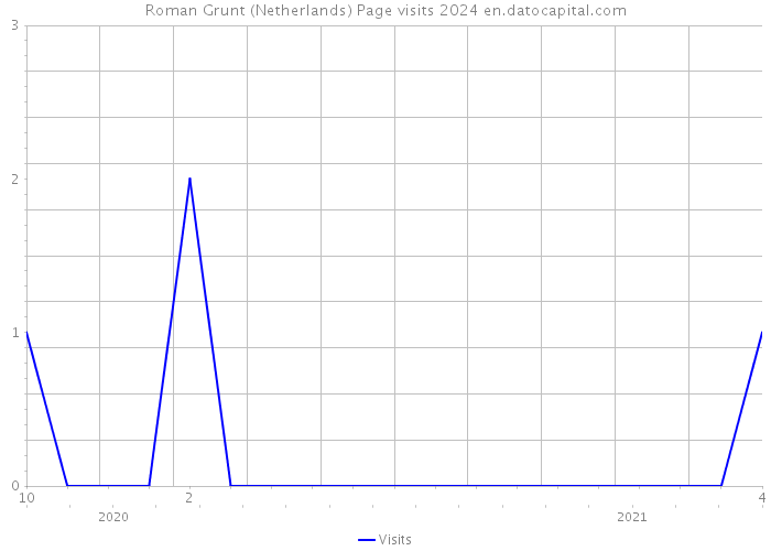 Roman Grunt (Netherlands) Page visits 2024 