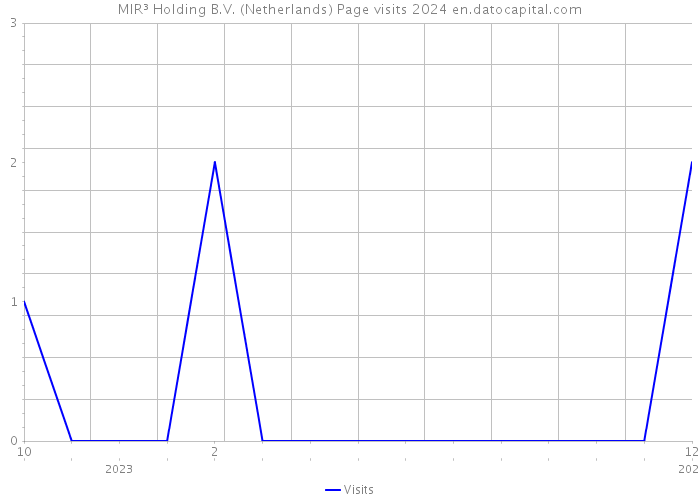 MIR³ Holding B.V. (Netherlands) Page visits 2024 