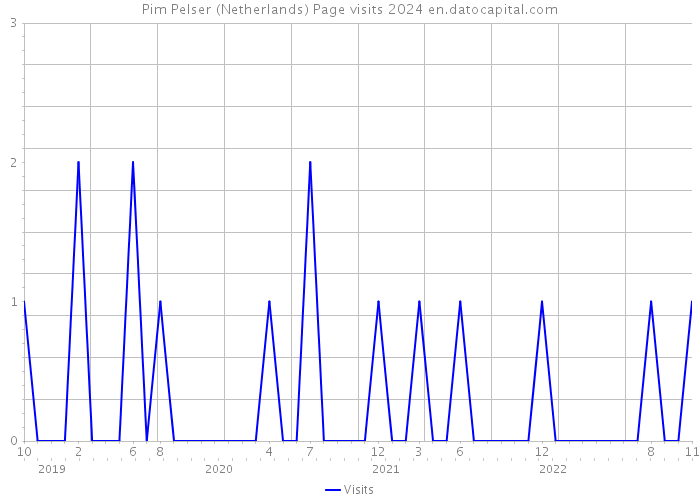 Pim Pelser (Netherlands) Page visits 2024 