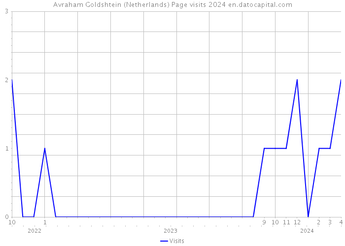 Avraham Goldshtein (Netherlands) Page visits 2024 