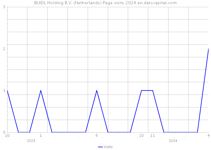 BUIDL Holding B.V. (Netherlands) Page visits 2024 