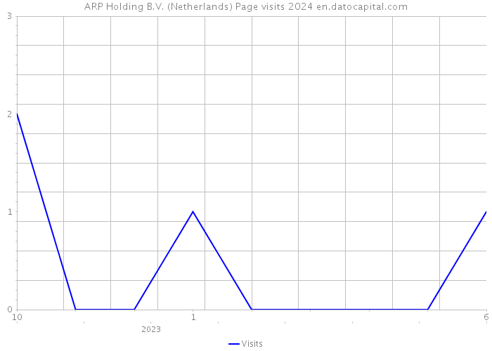 ARP Holding B.V. (Netherlands) Page visits 2024 