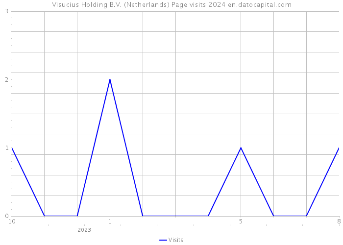 Visucius Holding B.V. (Netherlands) Page visits 2024 