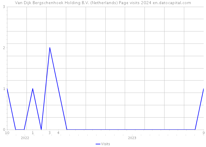 Van Dijk Bergschenhoek Holding B.V. (Netherlands) Page visits 2024 