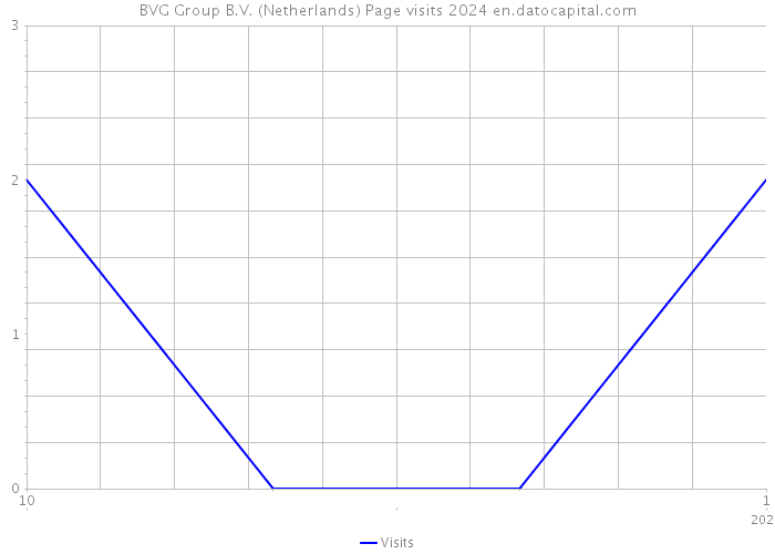 BVG Group B.V. (Netherlands) Page visits 2024 