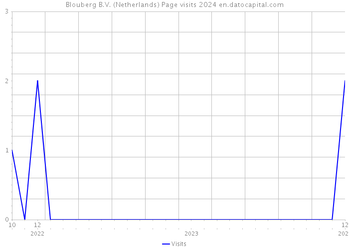 Blouberg B.V. (Netherlands) Page visits 2024 