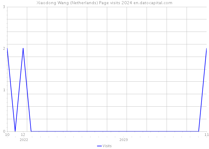 Xiaodong Wang (Netherlands) Page visits 2024 