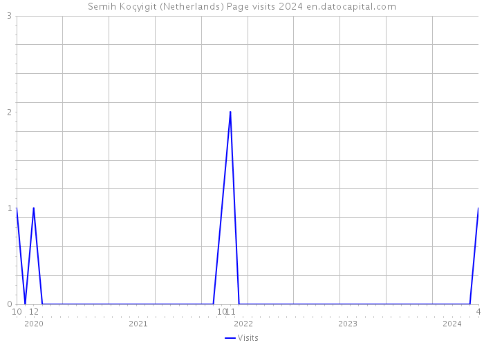 Semih Koçyigit (Netherlands) Page visits 2024 